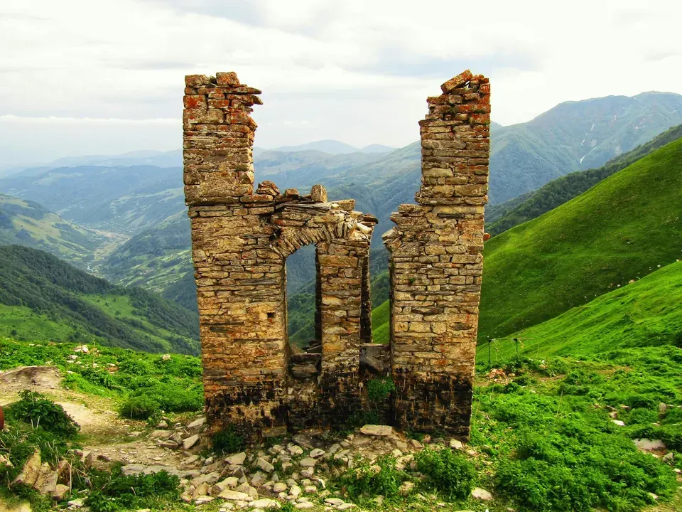Что делать, если укусила змея